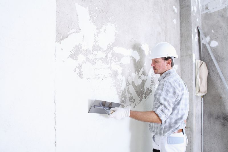 Wall Plaster Repair