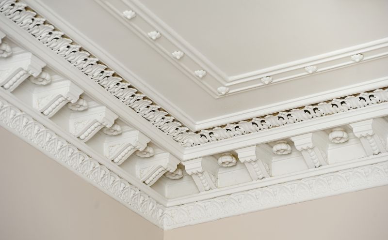 Plaster Ceiling Installation